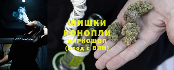 крисы Белокуриха