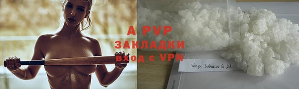 крисы Белокуриха
