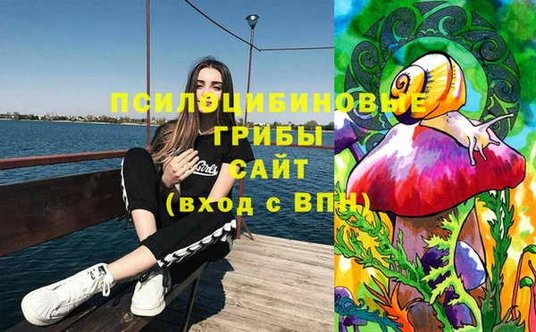 крисы Белокуриха