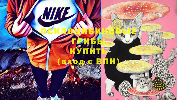 стафф Беломорск