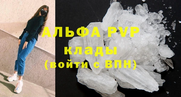 крисы Белокуриха