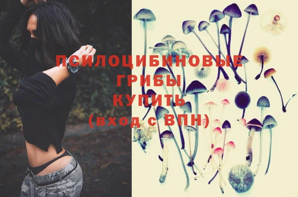 крисы Белокуриха