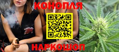 стафф Краснодар