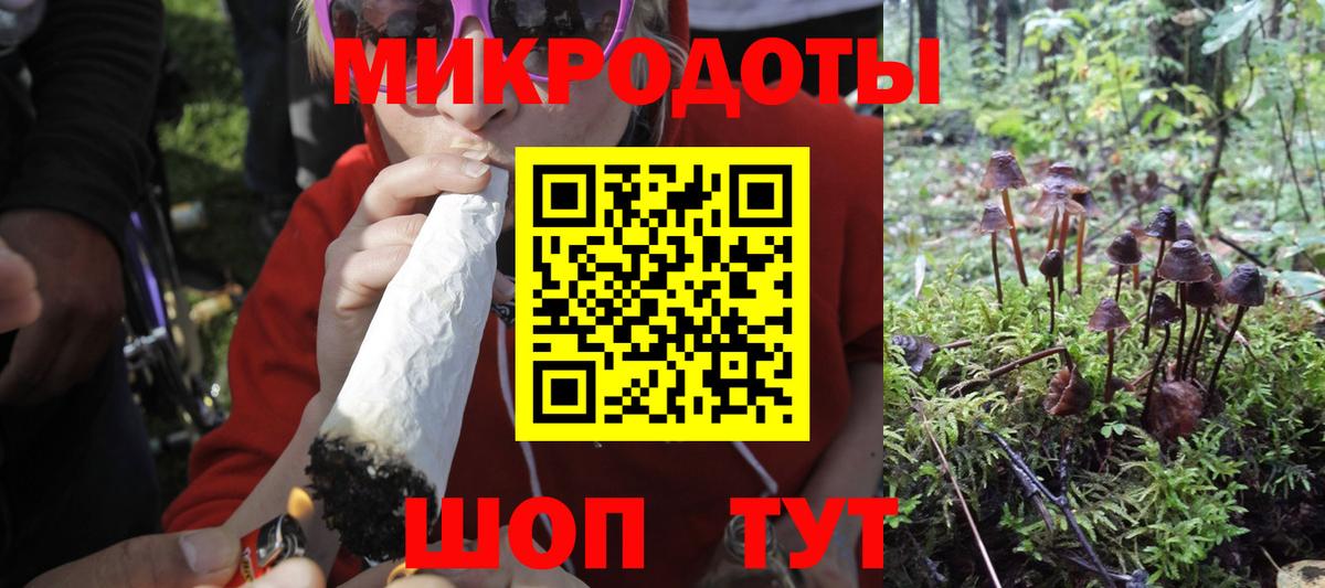 Галлюциногенные грибы Magic Shrooms  Вход с VPN  Кузнецк  Галлюциногенные грибы ЛСД 