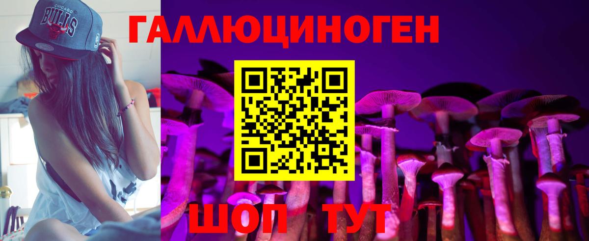 Галлюциногенные грибы Psilocybe Кузнецк